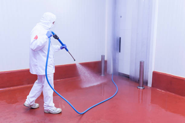 Best Building Exterior Pressure Washing in Granite Falls, MN